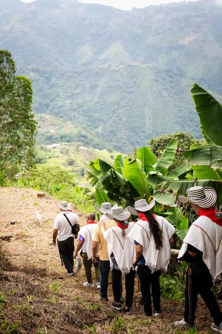 imagem n.61 de Medellín: Tour do café, chegada a cavalo e cana-de-açúcar atividade em Medellín, carregada pelo fornecedor