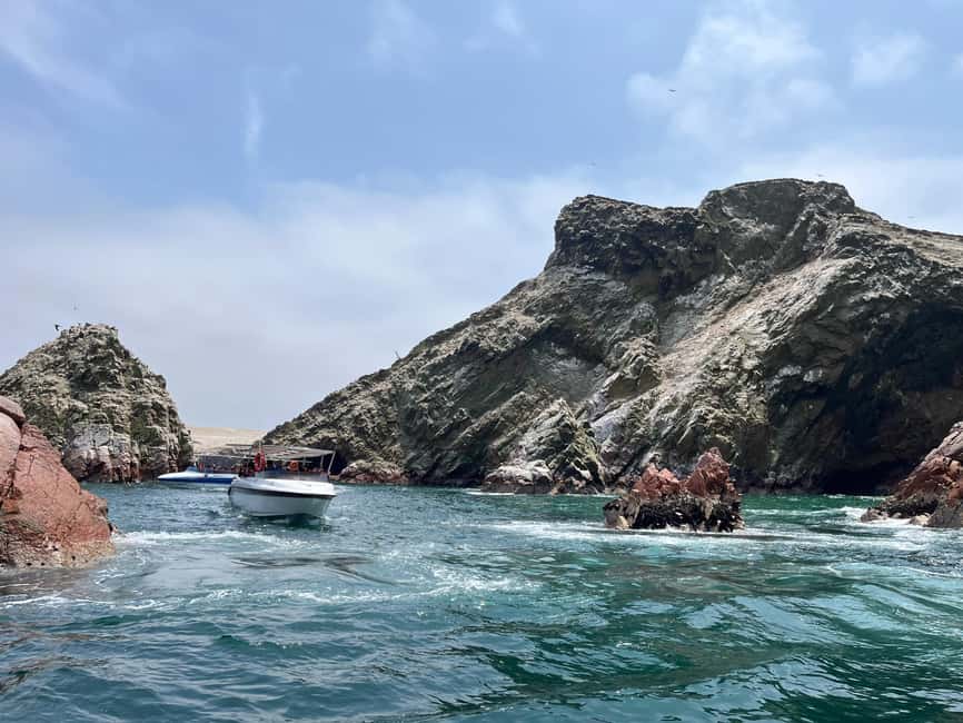 afbeelding n.6 van Vanuit Ica of Huacachina: Ballestas-eilanden en Nationaal Reservaat Paracas. activiteit in Ica Regio, geüpload door aanbieder