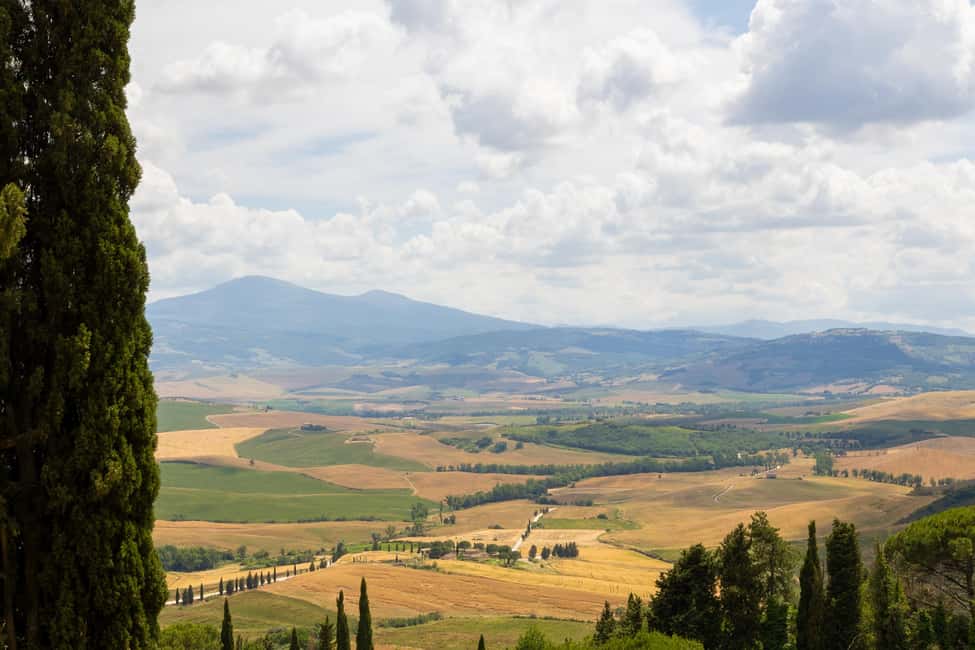 Immagine nº 37 di Firenze: Monteriggioni e Val d'Orcia Degustazione di vini opzionale attività a Monteriggioni, caricata dal fornitore