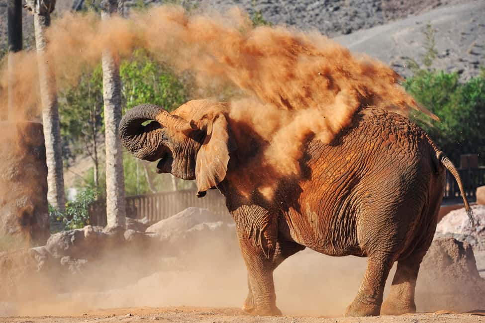 image n.3 of Fuerteventura: Oasis Wildlife Entry Ticket activity in La Lajita, uploaded by supplier