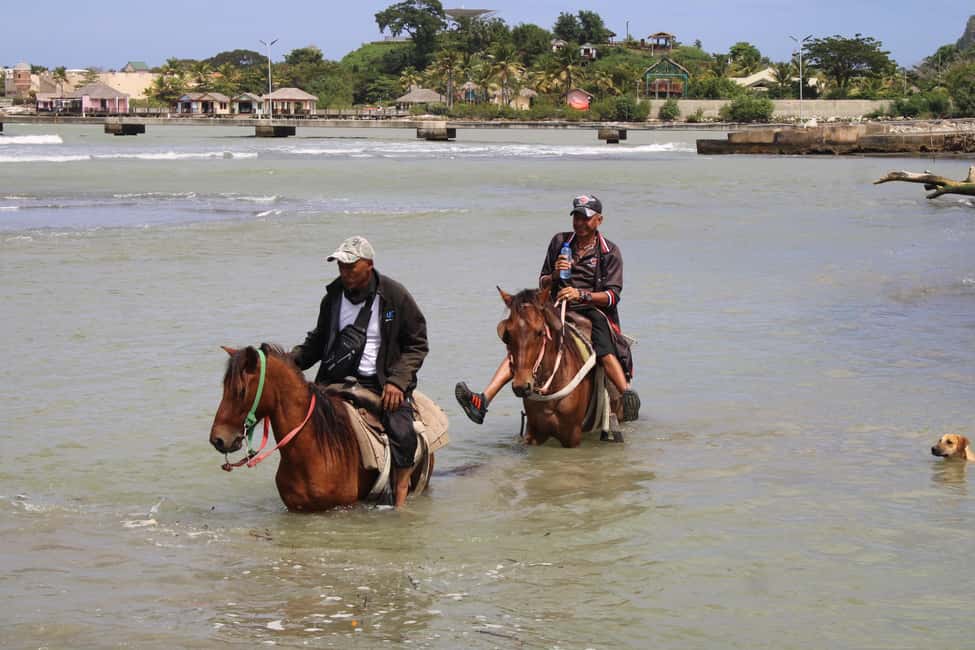 image n.7 of Beach horse back riding with countryside activity in Puerto Plata Province, uploaded by supplier