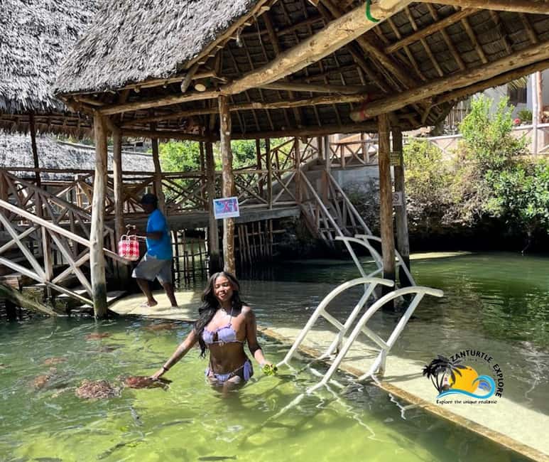 image n.7 of Nungwi: Swimming with Turtles at The Lagoons Zanzibar activity in Zanzibar City, uploaded by supplier