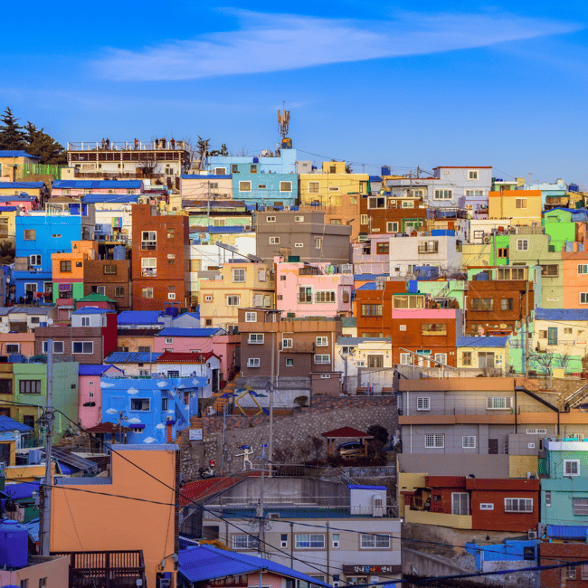 image n.2 of From Busan Port: Sightseeing Tour for Cruise Passengers activity in Busan, uploaded by supplier