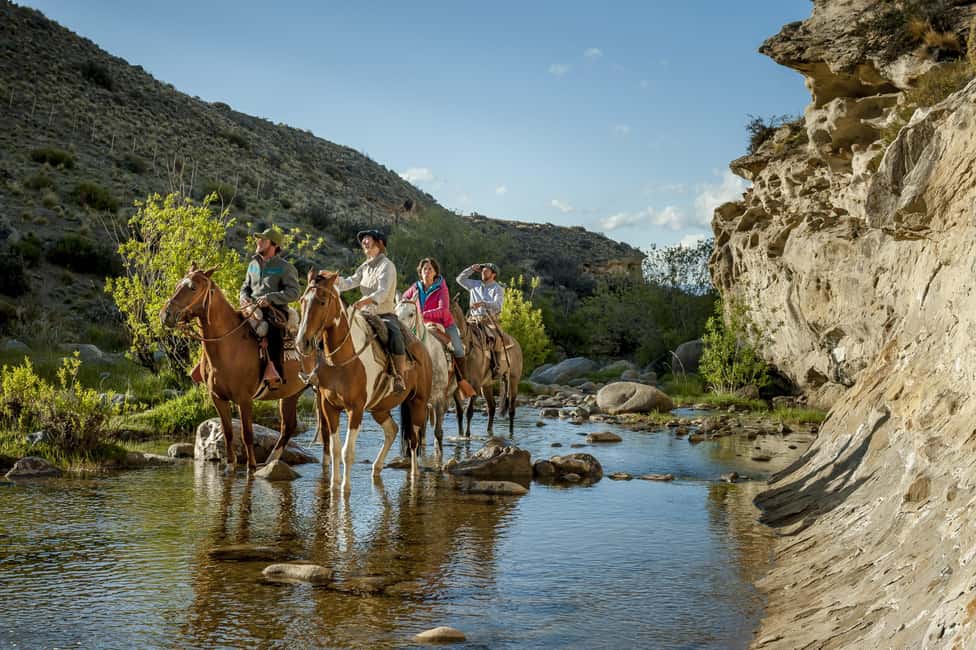 image n.4 of HORSEBACK RIDING EXPERIENCE - CAÑADONES & SADDLES activity in El Calafate, uploaded by supplier