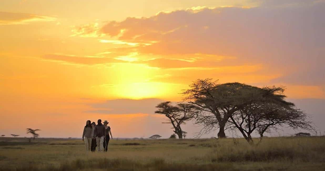 imagen n.º 2 de Arusha: Safari de 5 días en tienda de campaña por el Parque Nacional del Serengeti actividad en Provincial Central de Kenia, subida por el proveedor