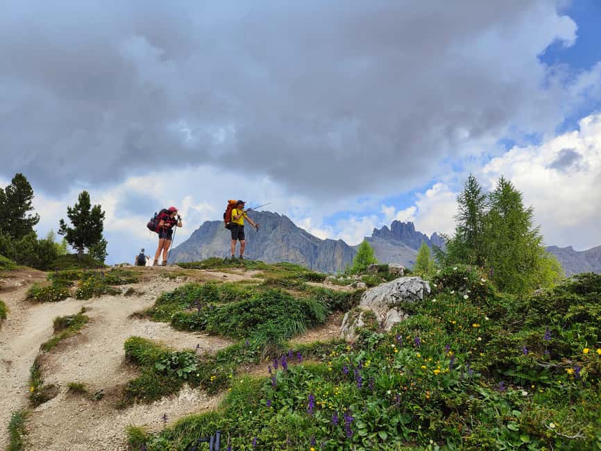 billede nr.7 af aktiviteten Udforsk Dolomitterne, en vandredag i bjergene i Mareson, uploadet af udbyder