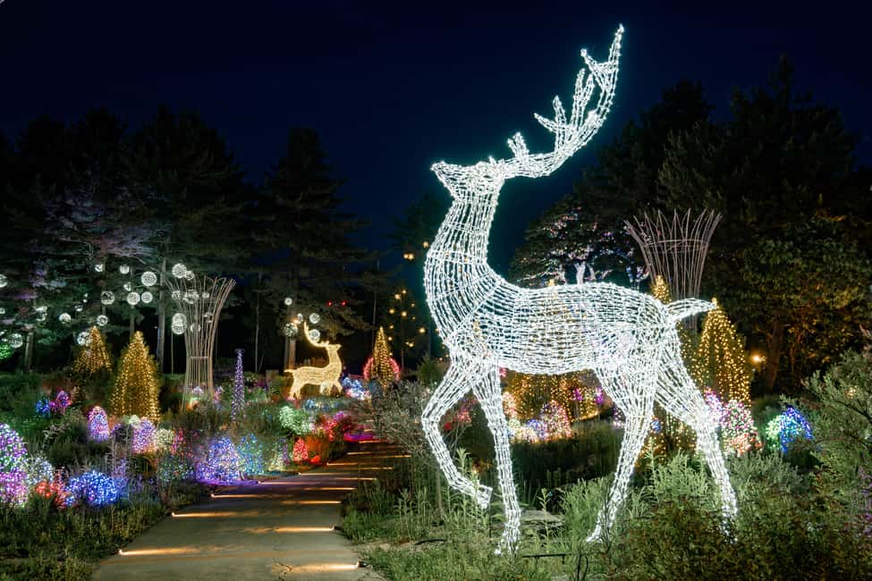 image n.9 of Seoul: Nami, Petite France, Morning Garden (+Healing Park) activity in Gapyeong-gun, uploaded by supplier