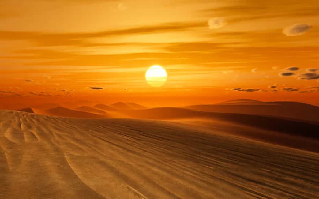 image n.20 of Dubai: Safari, Quad Bike, Camel Ride, and Buffet Dinner activity in Dubai, uploaded by supplier