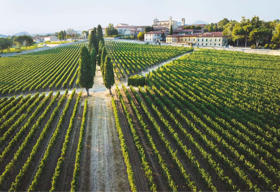 Obraz nr 37 z atrakcji Z Mediolanu: Wycieczka winiarska nad jezioro Iseo, Bergamo i Franciacorta w Lombardia, przesłany przez organizatora