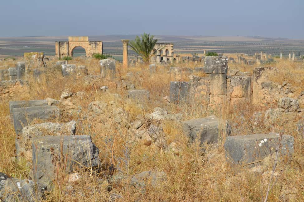 billede nr.47 af aktiviteten Dagstur fra Fes til Volubilis via Meknes og Moulay Idriss i Meknès, uploadet af udbyder