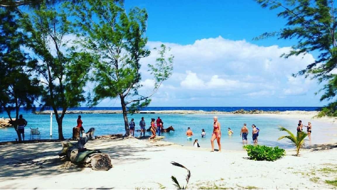 imagem n.7 de Transporte para o passeio a cavalo e natação em Chukka atividade em Montego Bay, carregada pelo fornecedor