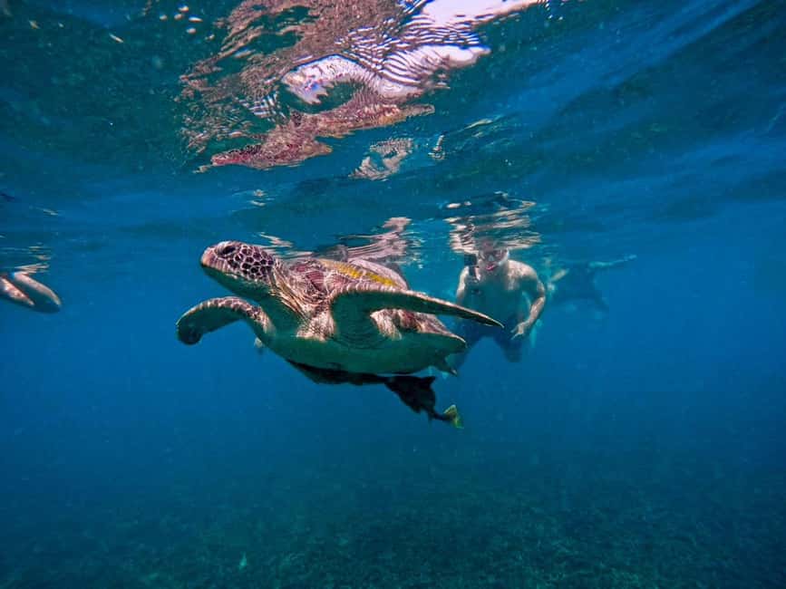 image n.33 of Ko Tao: Tao-Nangyuan Snorkeling Day Trip with Meals & Sunset activity in Ko Tao, uploaded by supplier