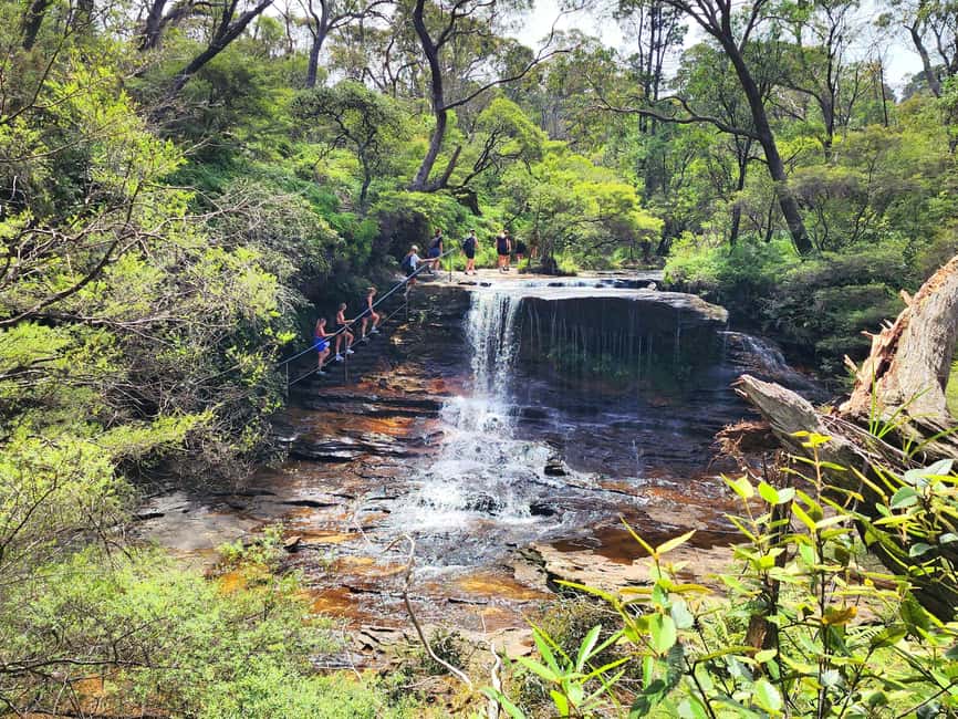 image n.28 of From Sydney: Blue Mountains Tour with Waterfall Walk & Lunch activity in Wentworth Falls, uploaded by supplier