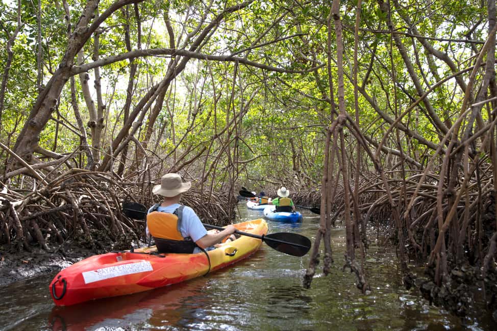 bild nr.13 av Florida Keys: Heldagsäventyr med kajak och snorkling vid korallrev aktivitet i Florida, uppladdad av arrangören