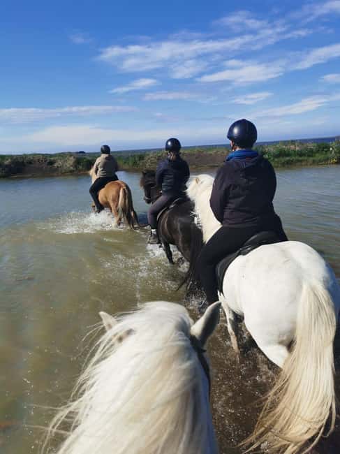 imagen n.º 6 de sur de Islandia: Excursión a caballo por la playa negra actividad en Hvolsvöllur, subida por el proveedor