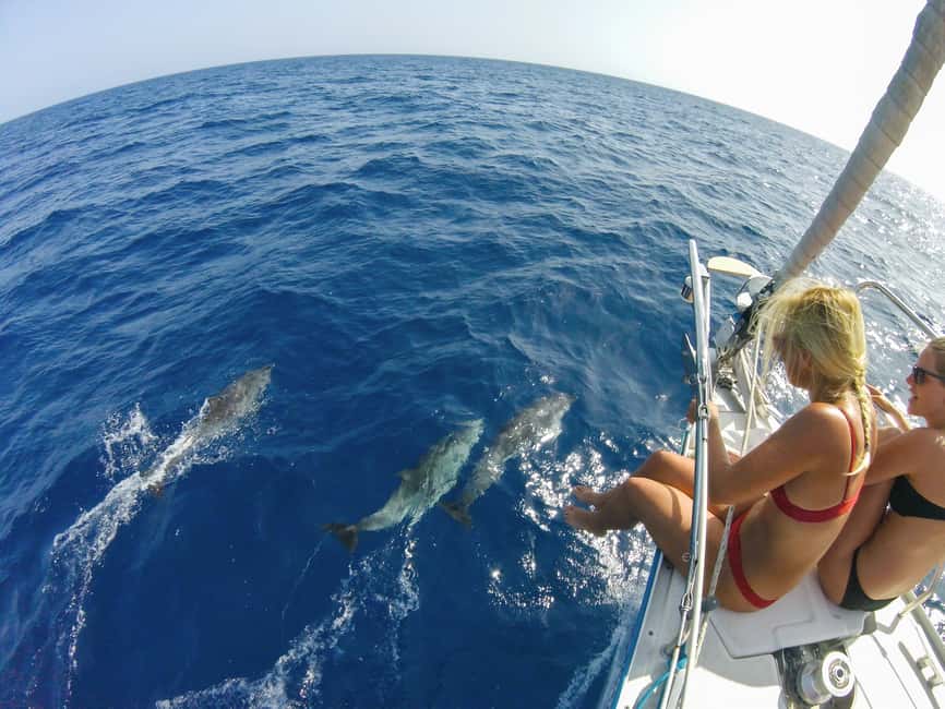image n.3 of Fuerteventura: Sailing with Snorkeling and Dolphin Watching activity in Morro Jable, uploaded by supplier