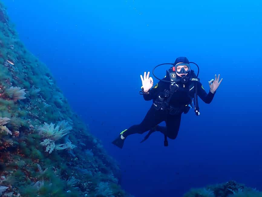 image n.26 of Menorca: Baptism Scuba Diving in Marine Reserve activity in Port d'Addaia, uploaded by supplier