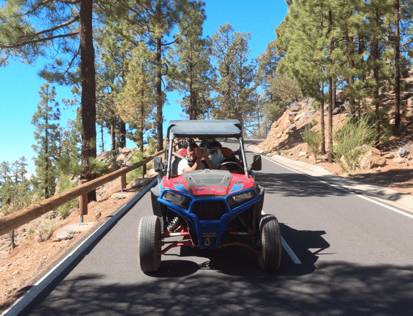 billede nr.5 af aktiviteten Tenerife: Buggy-tur til vulkanen Teide med vinsmagning og tapas i Kanarieøerne, uploadet af udbyder