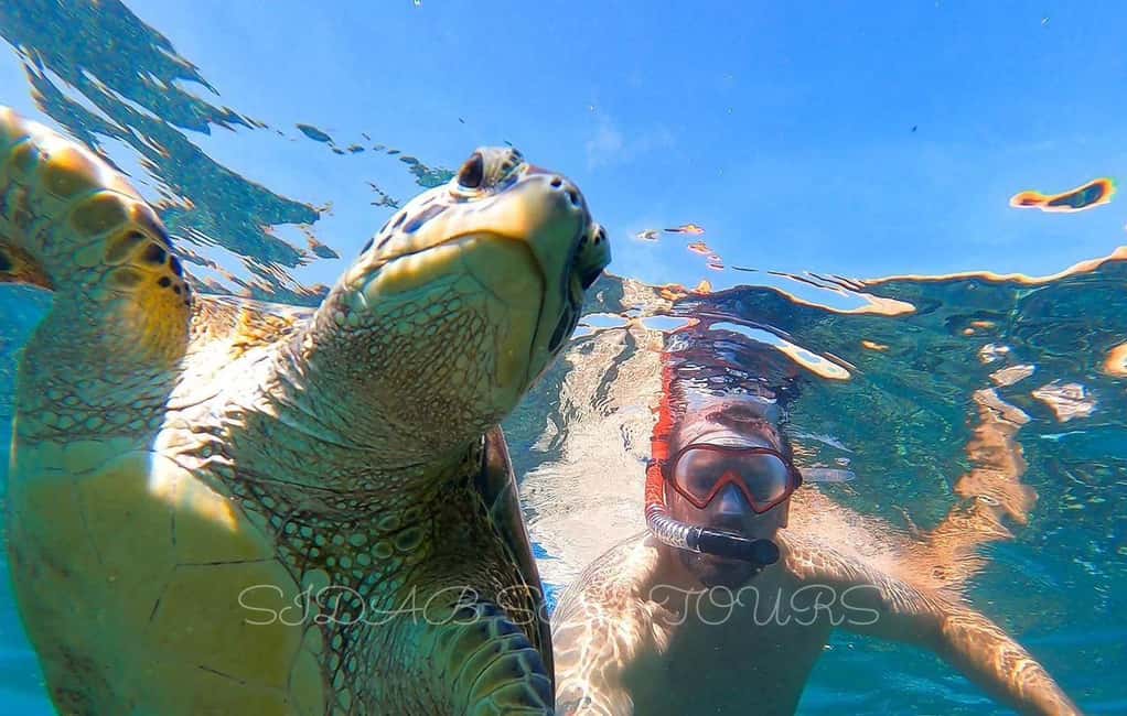 Immagine nº 2 di Muscat: tour di snorkeling con le tartarughe alle isole Daymaniyat attività a Mascate, caricata dal fornitore