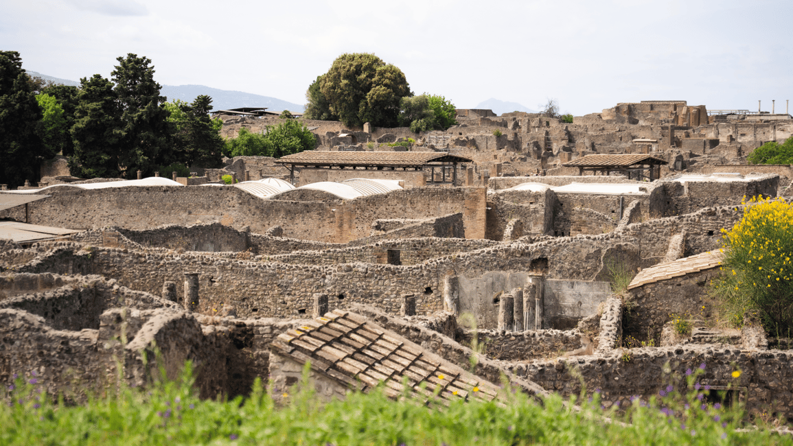 Image N°11 de Excursion d'une journée en train de Rome à Pompéi et Naples avec déjeuner activité à Pompei, Campanie, publiée par le prestataire