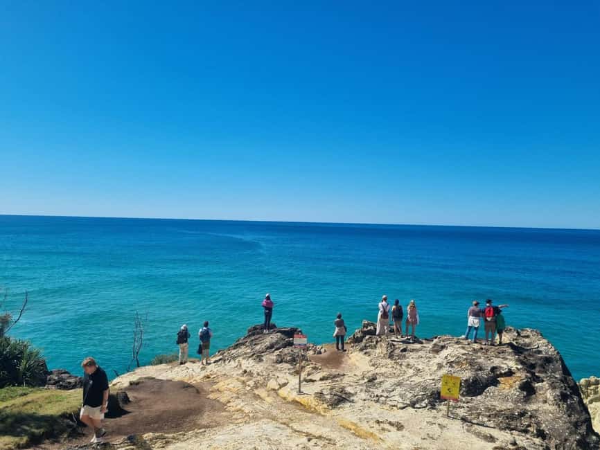 image n.14 of From Brisbane: North Stradbroke Island Wildlife Adventure activity in Brisbane, uploaded by supplier