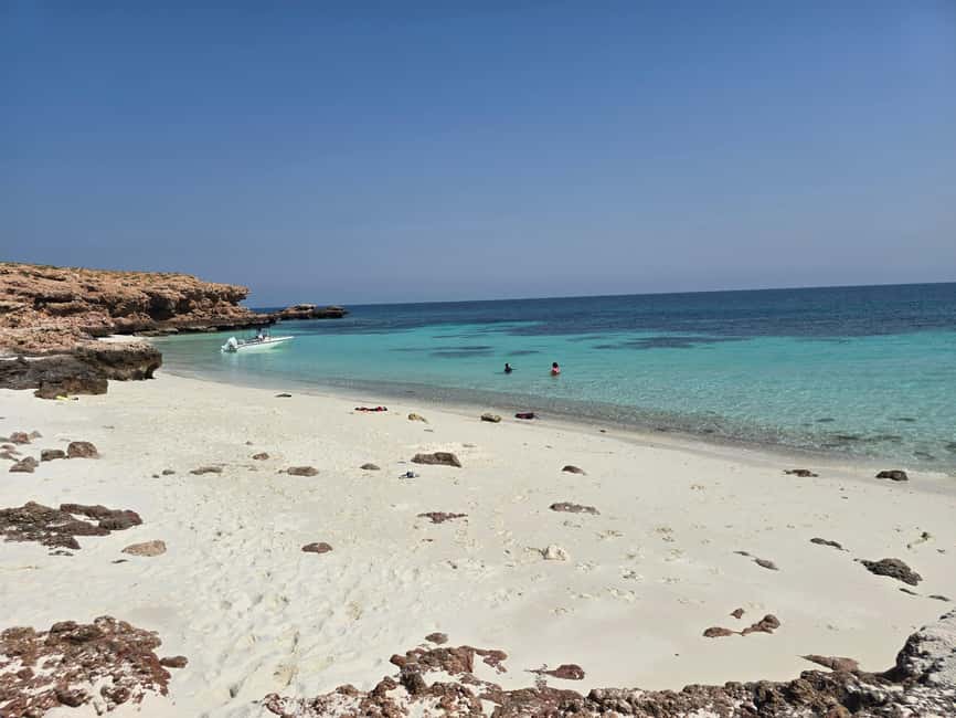 Immagine nº 36 di Isola di Daymaniyat: tour di snorkeling con pranzo gustoso attività a Seeb, caricata dal fornitore