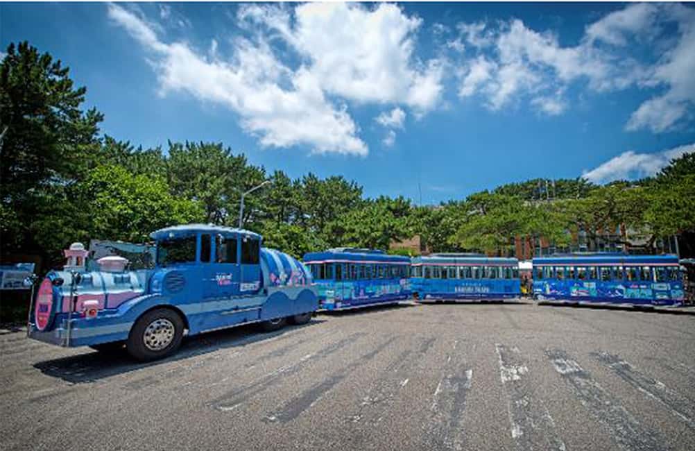 image n.12 of Busan: A Well-Rounded Small-Group Tour with Certified Guide activity in Busan, uploaded by supplier