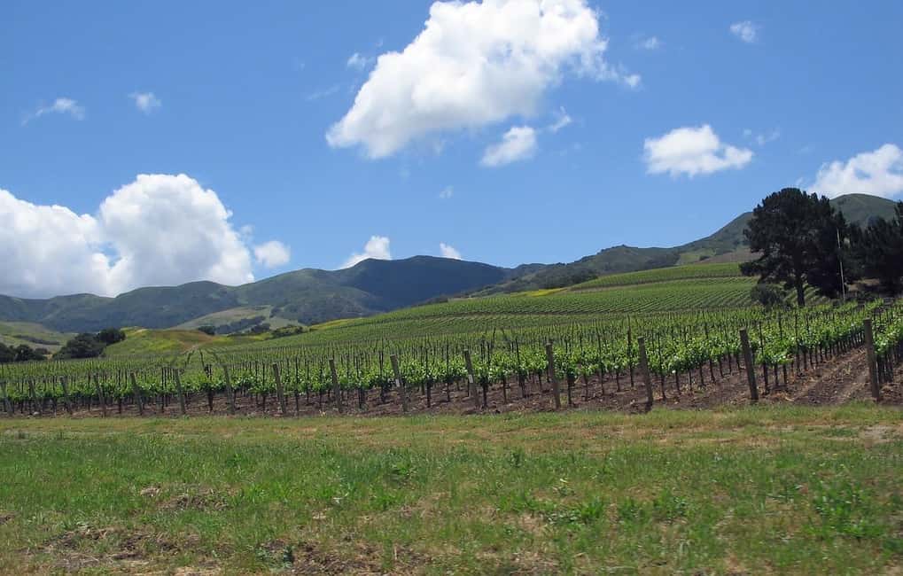image n.3 of Uncork Santa Barbara: A Private Wine Country Tour activity in Santa Barbara, uploaded by supplier