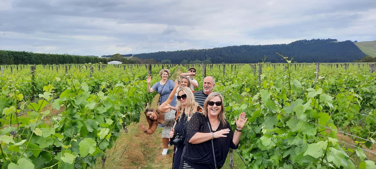 image n.6 of From Wellington: Martinborough Winery Tour activity in Wellington, uploaded by supplier
