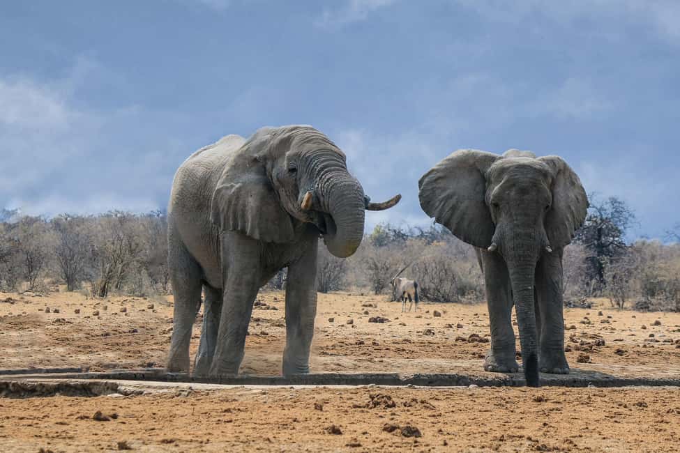 afbeelding n.3 van Namibië: 10 dagen activiteit in Erongo, geüpload door aanbieder