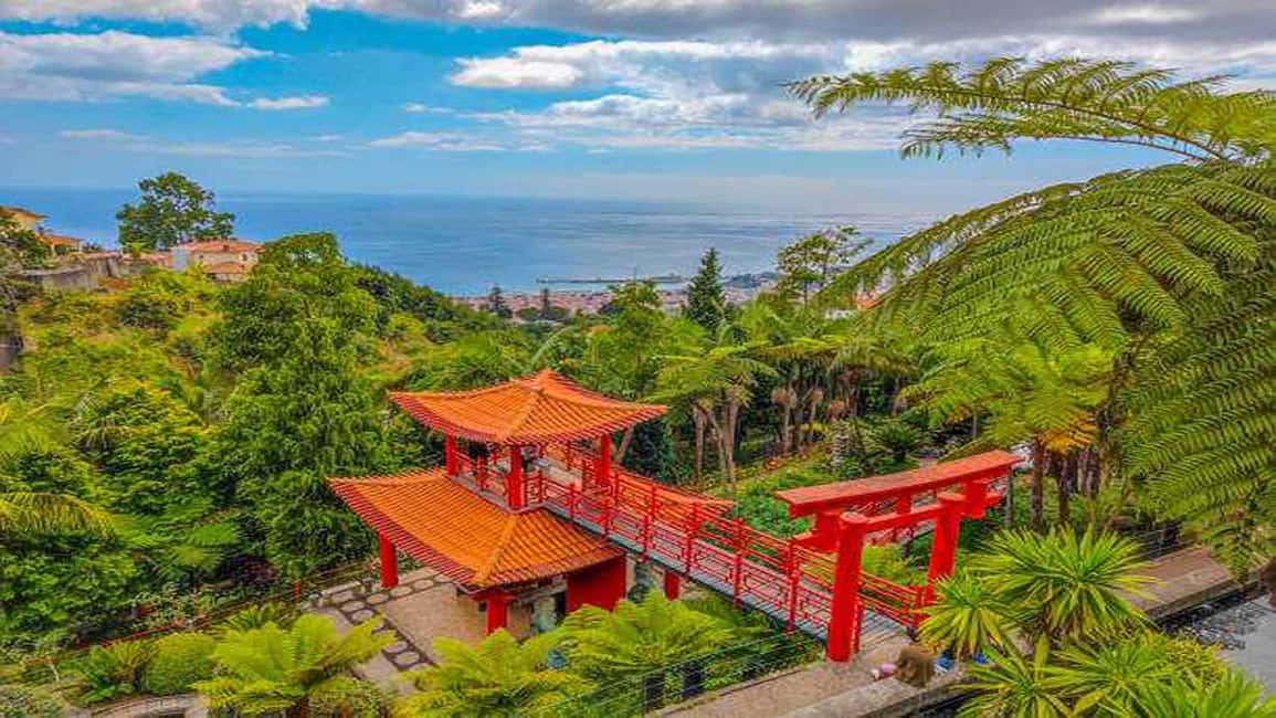 image n.15 of Madeira: Monte Tropical Gardens + Old Town Tuk Tuk by MadTuk activity in Funchal, uploaded by supplier