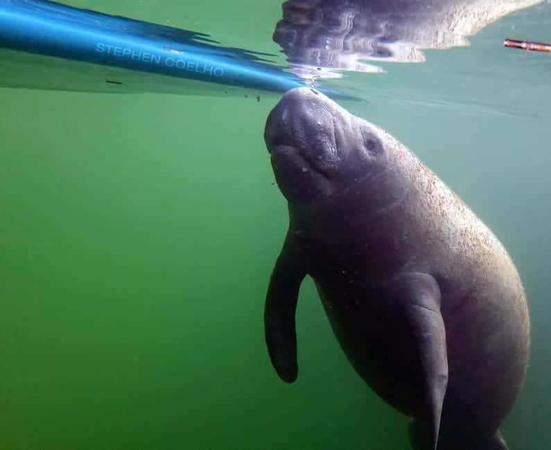 bild nr.10 av Florida Keys: Heldagsäventyr med kajak och snorkling vid korallrev aktivitet i Florida, uppladdad av arrangören