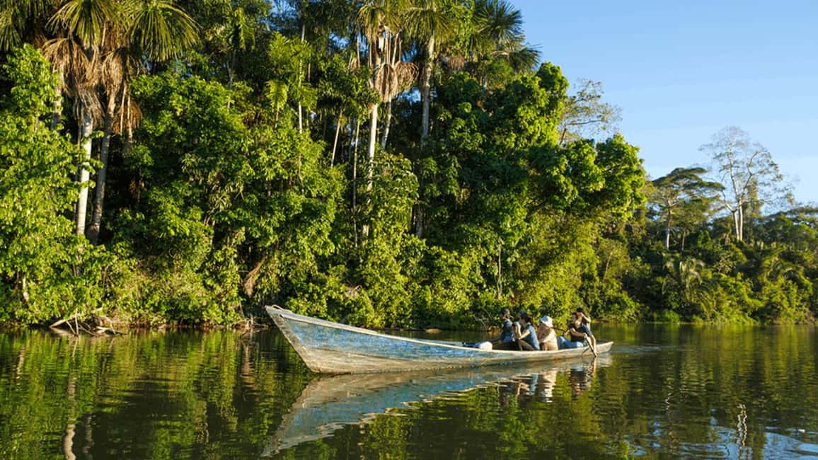 image n.2 of From Iquitos: Full day tour in the Peruvian jungle activity in Huanuco Region, uploaded by supplier