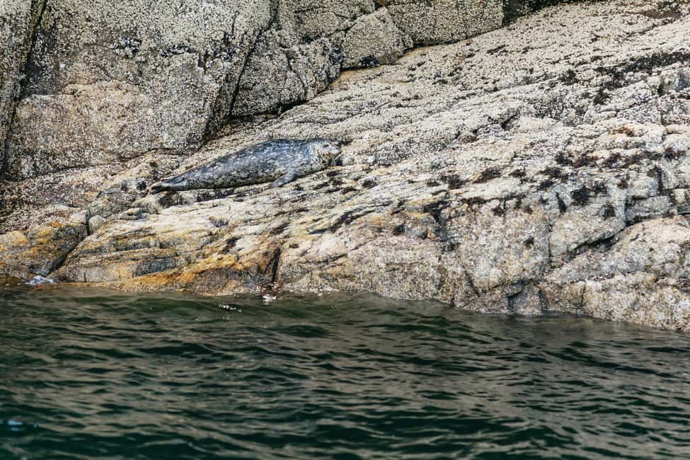 image n.5 of Vancouver: Indian Arm and Granite Falls Zodiac Boat Tour activity in Vancouver, uploaded by supplier