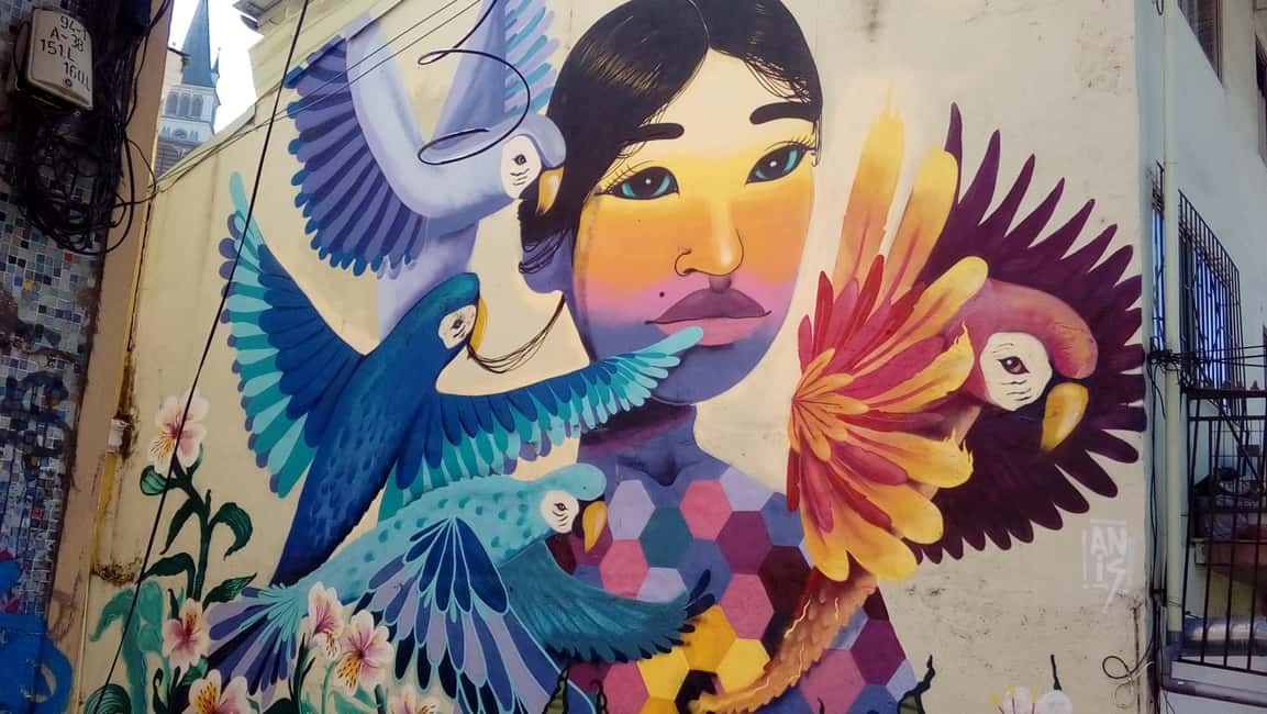 image n.1 of Valparaiso: Street Art, Funiculars, and Port City Tour activity in Valparaíso, uploaded by supplier