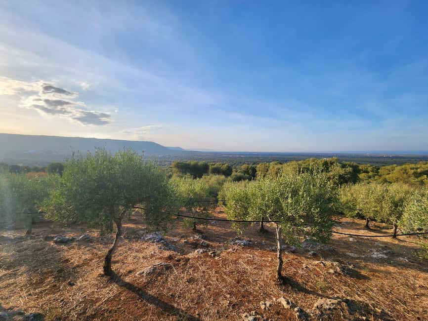Immagine nº 21 di Ostuni: Tour in bicicletta con un bicchiere di vino e bruschetta attività a Ostuni, caricata dal fornitore