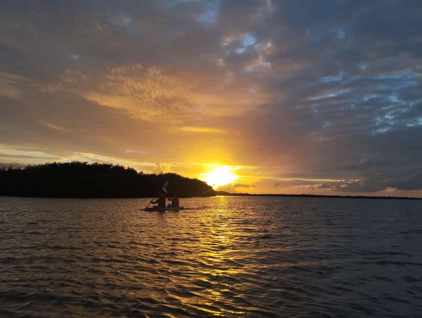 imagen n.º 3 de Cancún: Excursión en Kayak por la Laguna Nichupté actividad en Cancún, subida por el proveedor