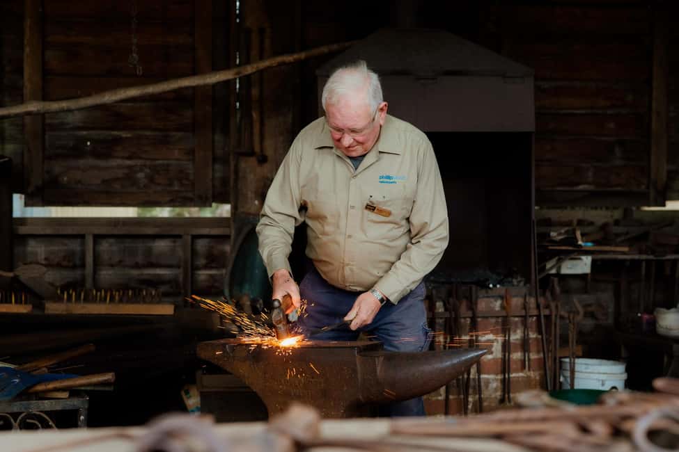 Phillip Island: Penguin Parade and Multi Attraction Pass