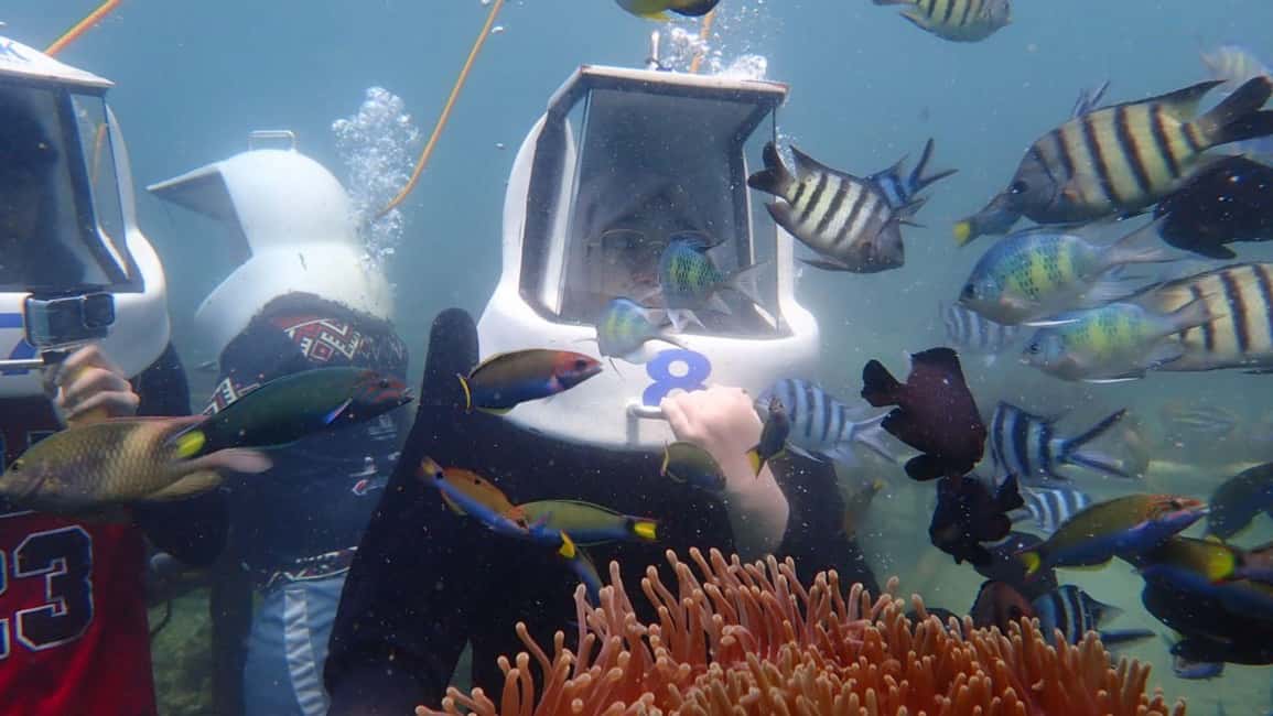 billede nr.8 af aktiviteten Kota Kinabalu: Snorkling og øhop Sapi & Manukan i Sabah, uploadet af udbyder