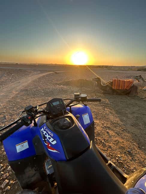 image n.11 of Marrakech: Quad Bike Tour to Palm Oasis and Jbilat Desert activity in Marrakesh, uploaded by supplier