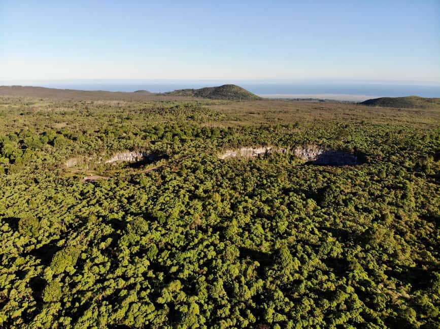 image n.3 of Puerto Ayora: The Galapagos Giant Tortoise Shared Experience activity in Galápagos Islands, uploaded by supplier