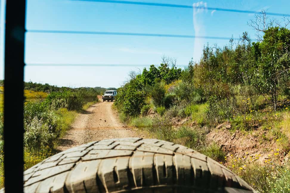 image n.13 of Algarve: Jeep Safari with Distillery Visit & Lunch activity in Algarve, uploaded by supplier