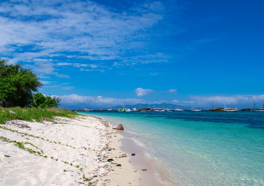 image n.16 of Komodo Island: Private 3-Day Tour with Boat and Hotel Stay activity in East Nusa Tenggara, uploaded by supplier