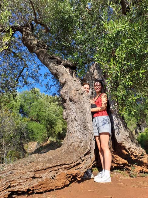 Immagine nº 27 di Ostuni: Tour in bicicletta con un bicchiere di vino e bruschetta attività a Ostuni, caricata dal fornitore