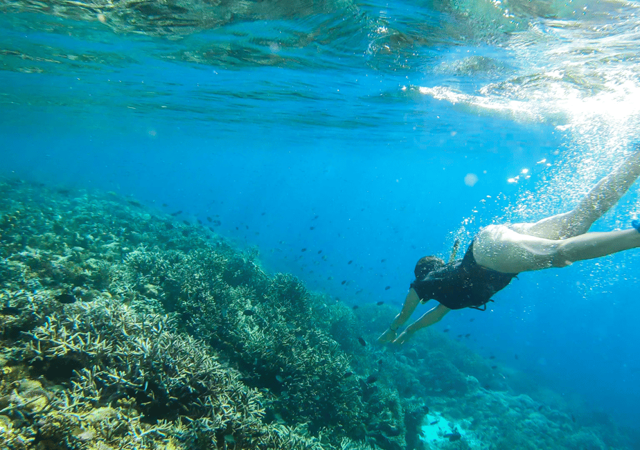 image n.3 of Komodo Island: Private 3-Day Tour with Boat and Hotel Stay activity in East Nusa Tenggara, uploaded by supplier