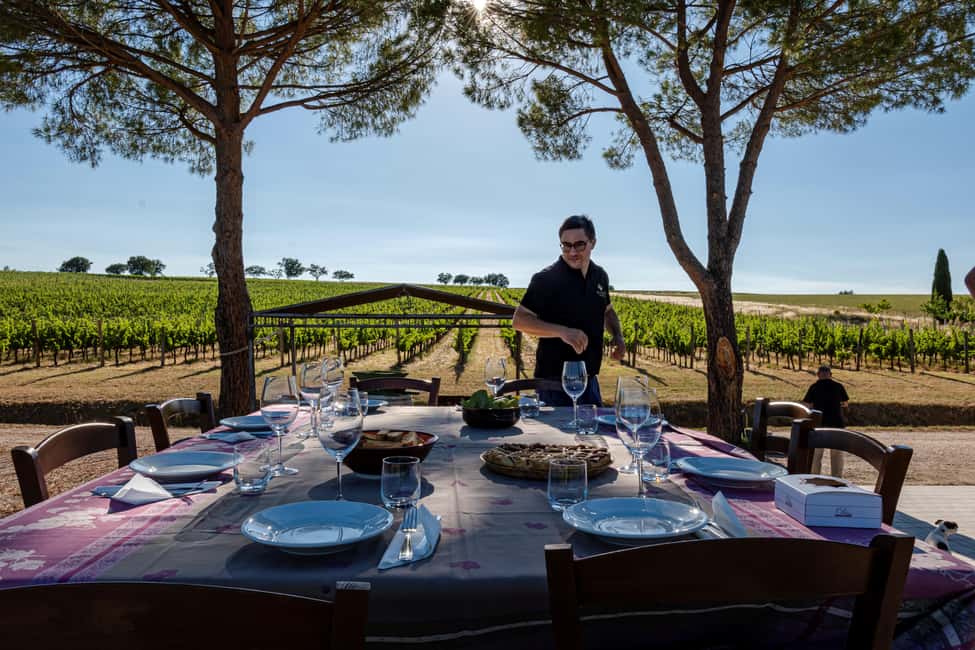 Immagine nº 39 di Montefalco: Tour della cantina e del vigneto e degustazione privata attività a Montefalco, caricata dal fornitore