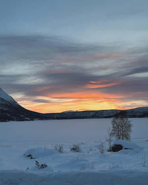 image n.20 of Narvik/Harstad:Day tour of Fjords with stop at Reindeer farm activity in Narvik, uploaded by supplier