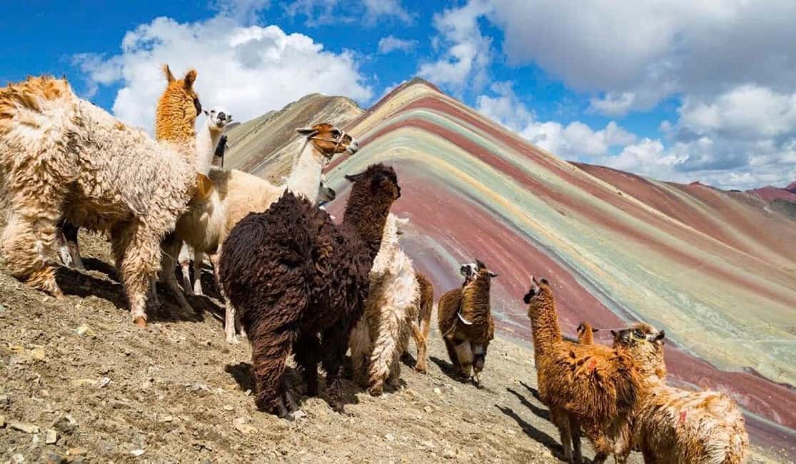 afbeelding n.5 van Cusco: Regenboogberg en Rode Vallei met gids en maaltijden activiteit in Regio Cuzco, geüpload door aanbieder