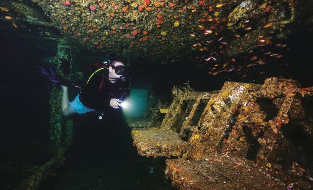 image n.20 of Sunshine Coast: Scuba Dive the Ex-HMAS Brisbane Ship Wreck activity in Sunshine Coast, uploaded by supplier