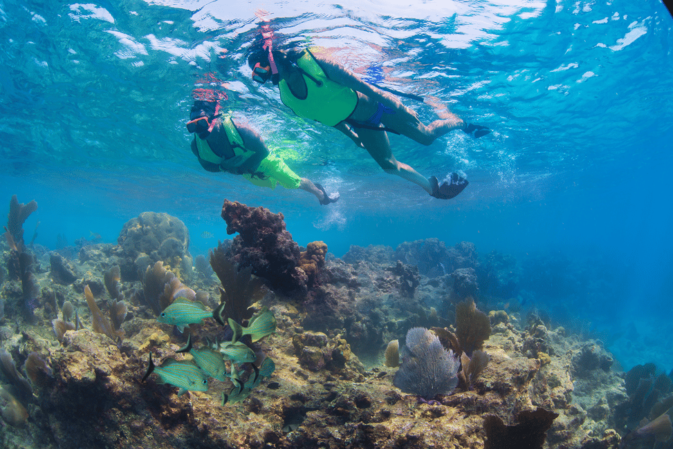 image n.12 of Fort Lauderdale: Key West Day Trip with Optional Activities activity in Fort Lauderdale, uploaded by supplier